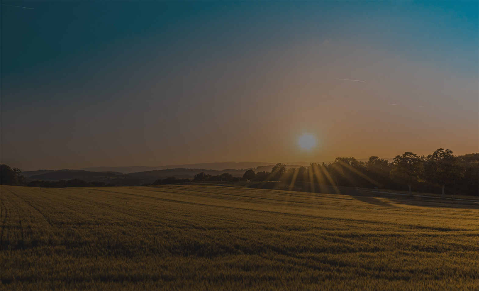 A open wheat field with rolling hills during a sunset.