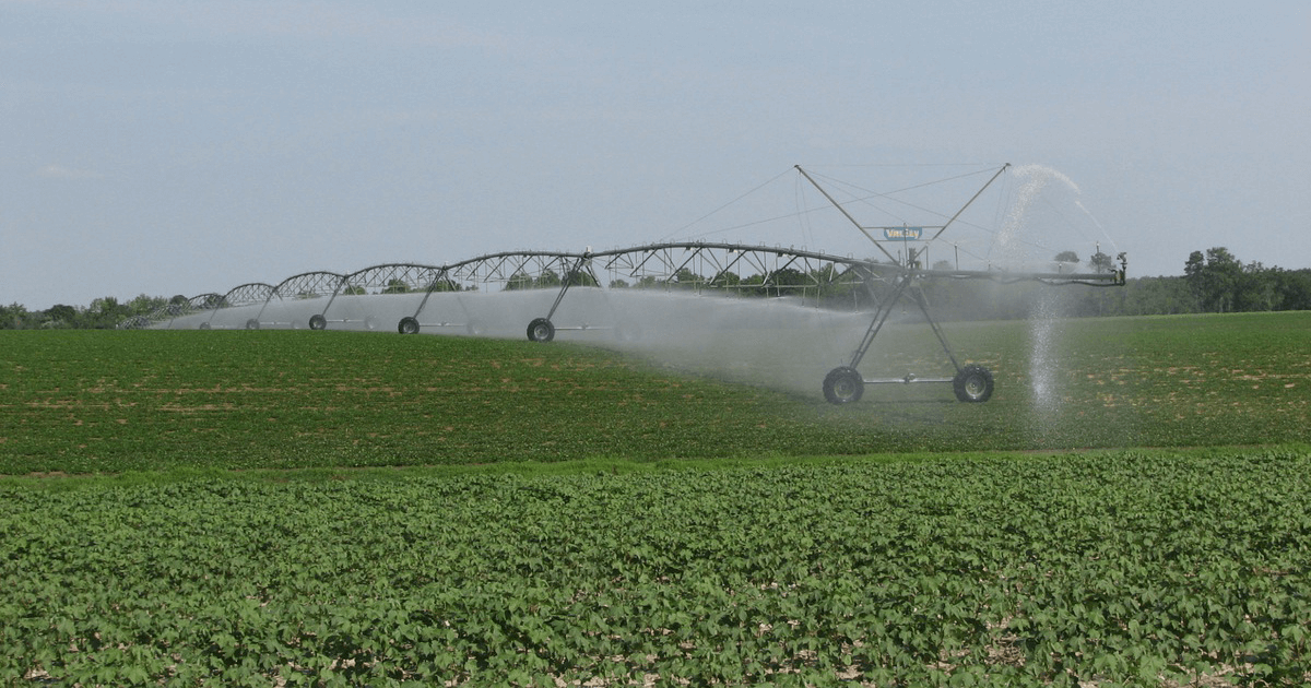 A machine irrigates a farm field with spraying water.