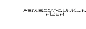Pemiscot-Dunklin Fiber white logo
